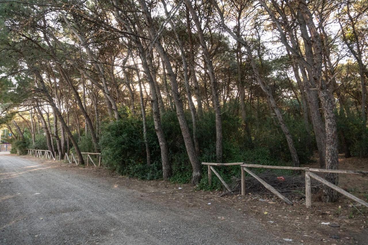 Casa Vacanza Sant'Erasmo Ginosa Marina Marina di Ginosa Eksteriør bilde